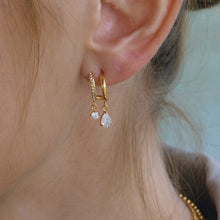 Load image into Gallery viewer, TRENDY ANIMAL DROP EARRINGS