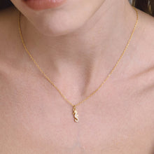 Load image into Gallery viewer, TRENDY SEA JEWELRY CHARM NECKLACES